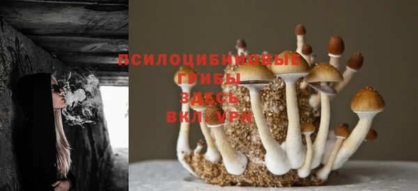 экстази Абинск
