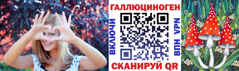 продажа наркотиков  Орск  гидра маркетплейс  Галлюциногенные грибы MAGIC MUSHROOMS 
