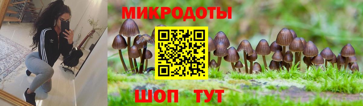 Псилоцибиновые грибы Psilocybe  Вход с VPN  Галлюциногенные грибы Psilocybine cubensis  купить наркотики сайты  Орск 