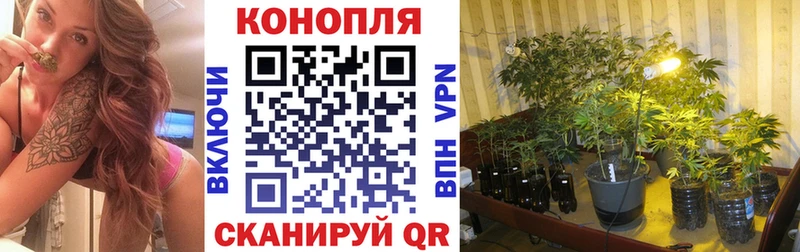 где можно купить   Орск  Шишки марихуана Bruce Banner 